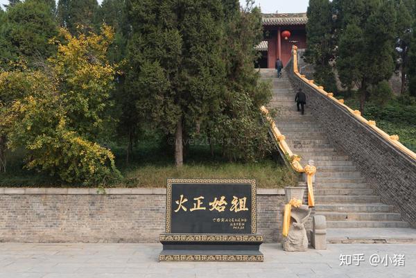 商丘特色种植致富_商丘主要种什么蔬菜_商丘致富项目