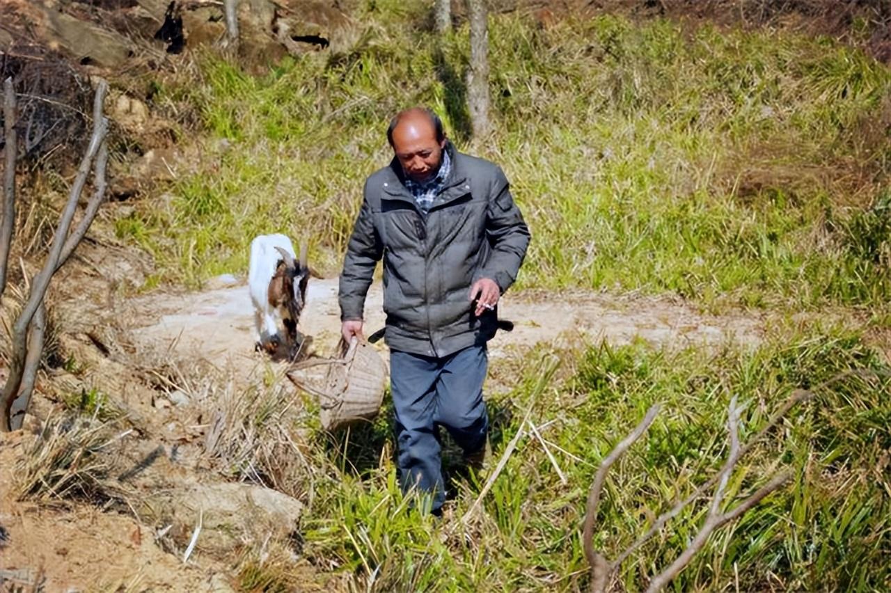 小伙养殖致富_男性养殖致富项目_致富养殖好项目大全