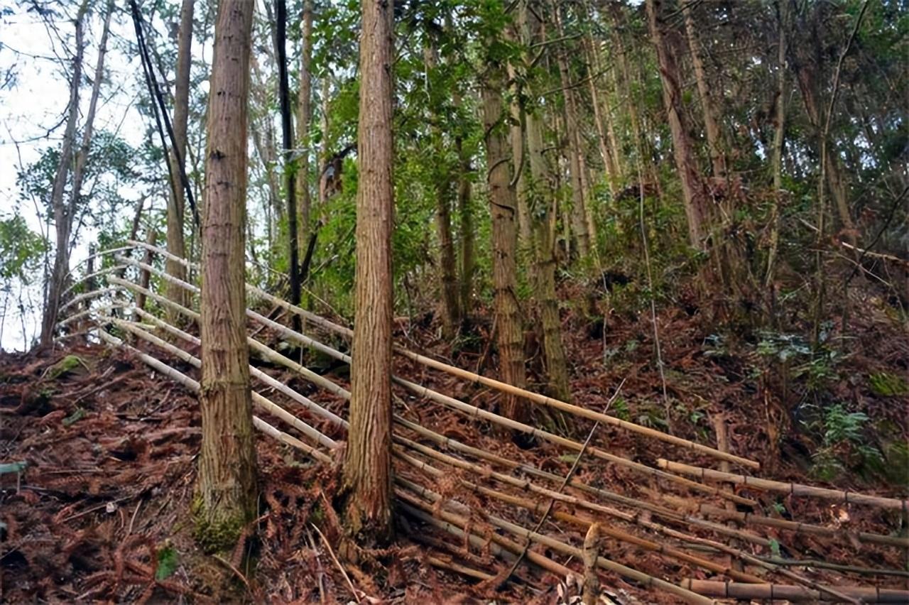 致富养殖好项目大全_小伙养殖致富_男性养殖致富项目