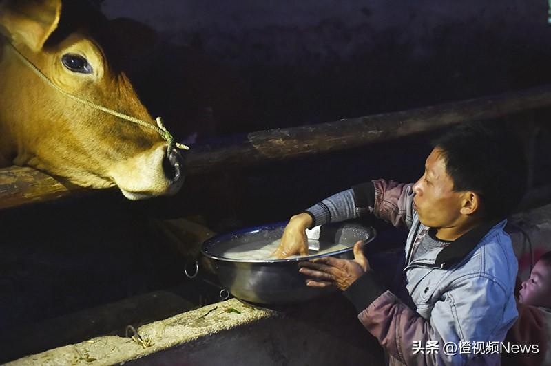 致富养殖男性项目名称_致富养殖男性项目介绍_男性养殖致富项目