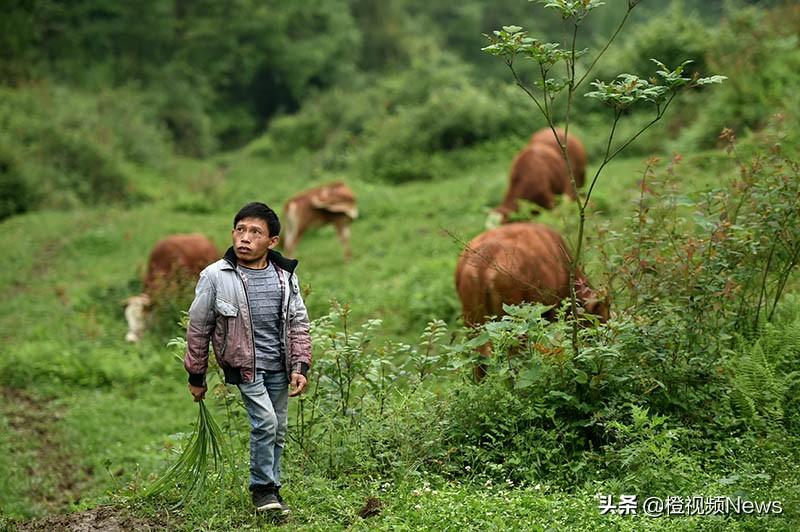 男性养殖致富项目_致富养殖男性项目介绍_致富养殖男性项目名称