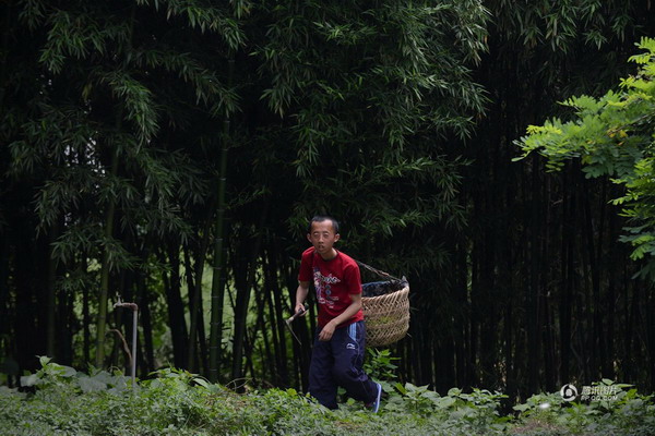 智障小伙，养兔自立