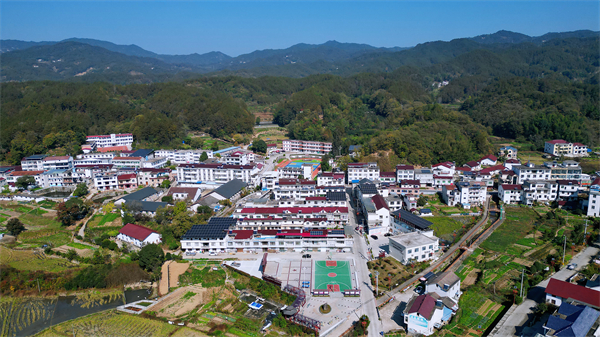 山路致富养殖项目是什么_山路致富养殖项目招标_山路养殖致富项目