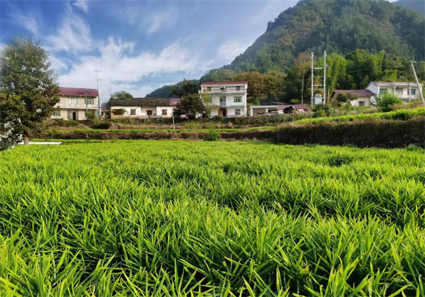 山路致富养殖项目招标_山路养殖致富项目_山路致富养殖项目是什么