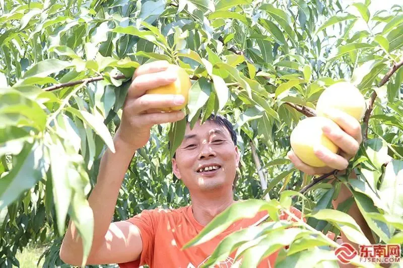 致富种植经历简介_种植致富经历_致富种植经历作文