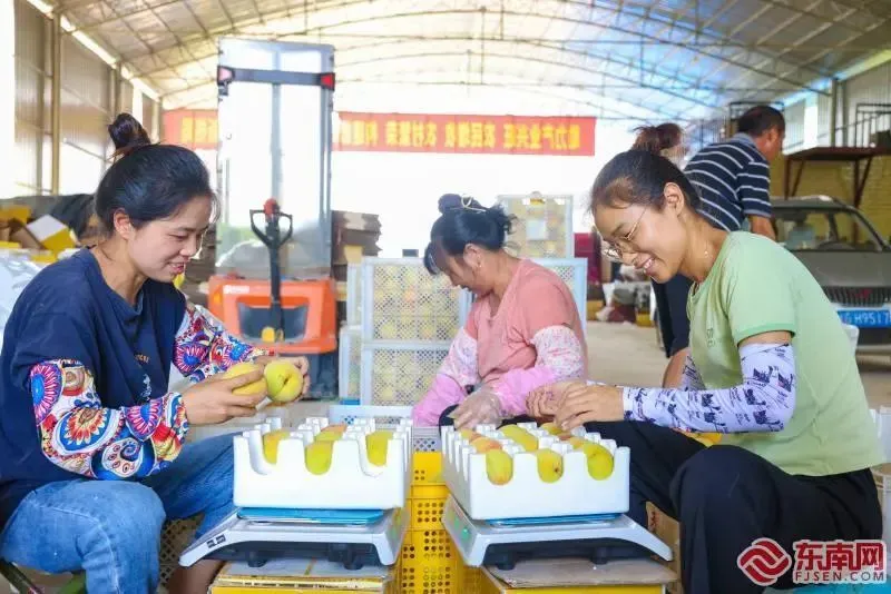 致富种植经历作文_致富种植经历简介_种植致富经历