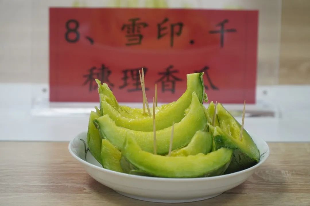 露地香瓜种植技术视频_视频种植香瓜露地技术要点_露地定植香瓜种植技术视频