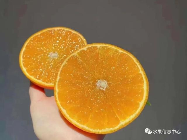 红太阳柑橘种植技术_红太阳柑橘品种视频_柑橘太阳果的防治方法