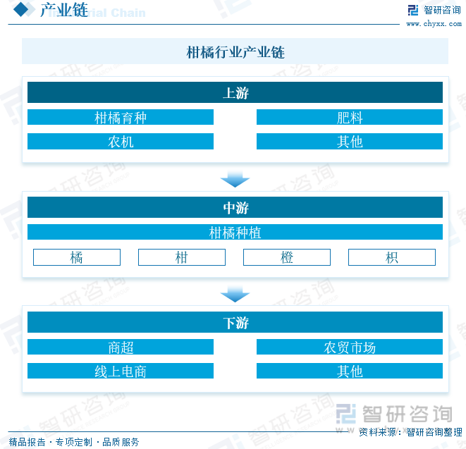 柑橘种植产业链上游主要是柑橘品种研发、种苗培育及所需物资供应，包括科研机构、农业技术企业、农业机械、化肥等物资生产企业；下游主要是农贸市场、超市、生鲜水果店、电商平台等销售渠道，最终到消费者手中。目前全国柑橘产业仍存在规范程度较低、产业链较薄弱的问题，建立健全柑橘产业的标准、优化柑橘的产业结构、建立完善的信息系统和加大柑橘产业的科研投入等时推动我国柑橘产业发展进程的关键。