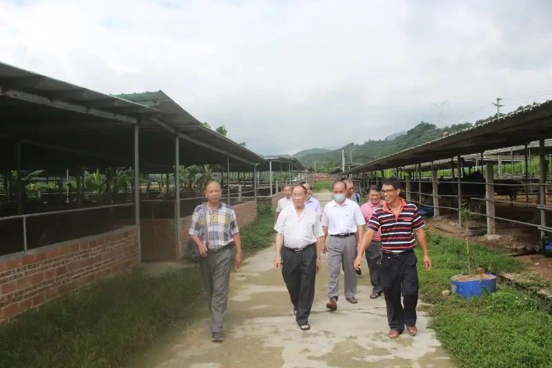 致富经鸵鸟养殖广东刘学强_广东鸵鸟养殖场_广东鸵鸟养殖加盟