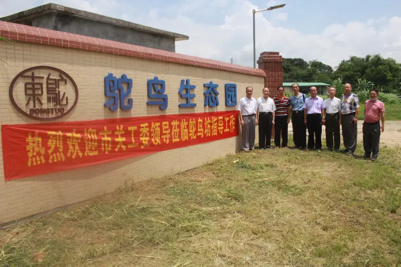 致富经鸵鸟养殖广东刘学强_广东鸵鸟养殖场_广东鸵鸟养殖加盟