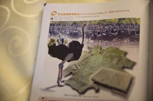 致富经主持人_致富故事汇主持人_cctv17致富经女主持人