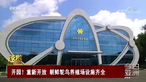 致富故事汇主持人_cctv17致富经女主持人_致富经主持人