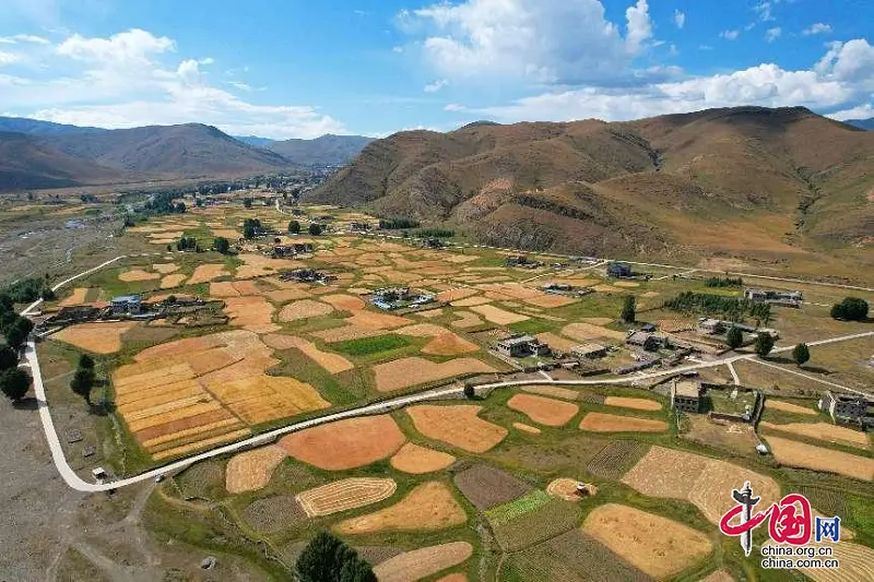 稻城村庄_稻城稻田_稻城农村种植致富