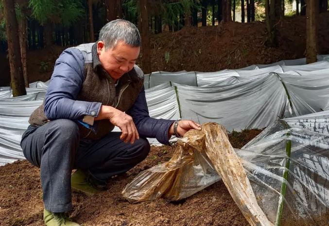 种植带动农民致富_种植致富带头人_怎么带动全村种植致富