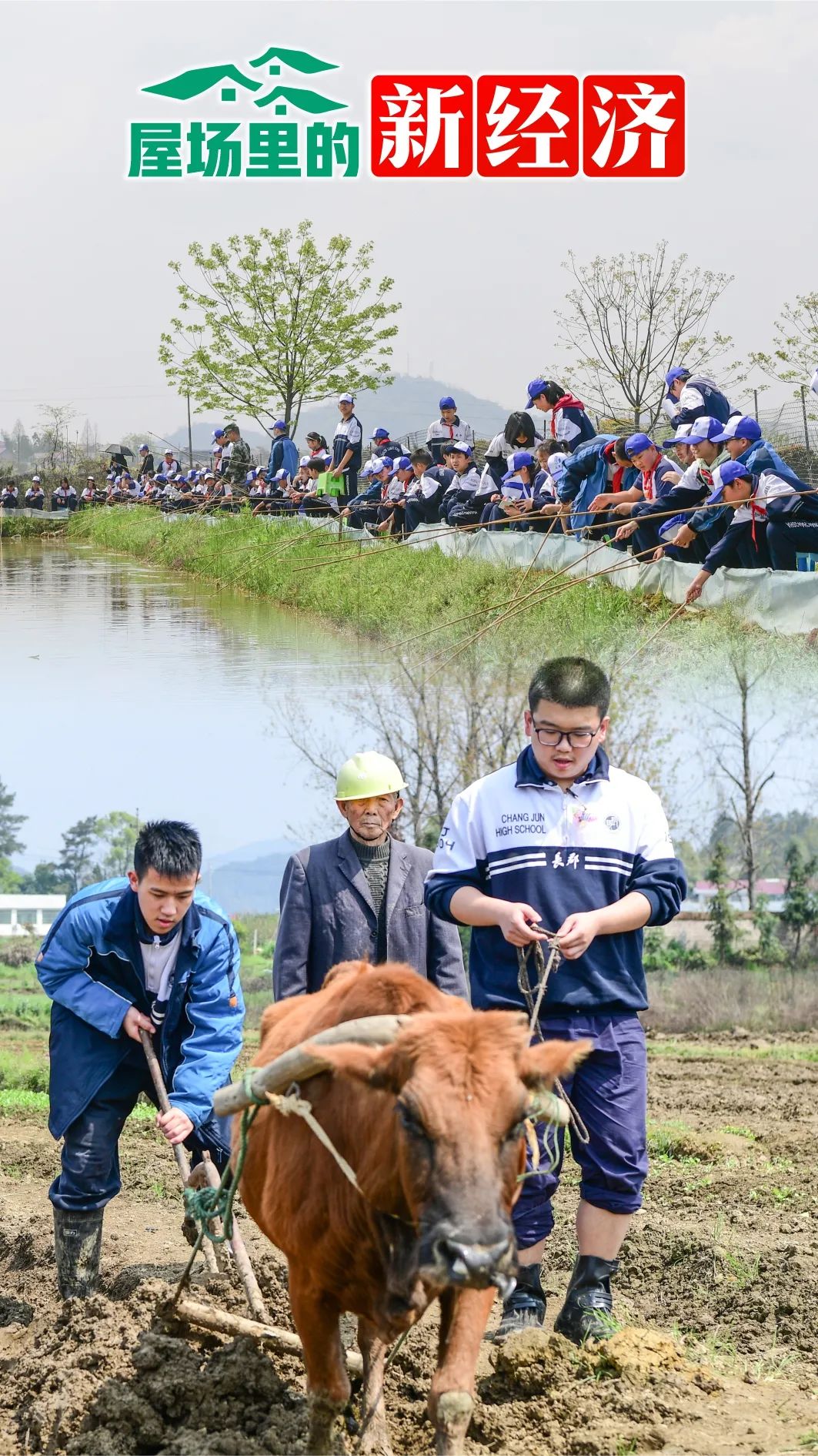 种植带动农民致富_致富带动种植村民的句子_怎么带动全村种植致富