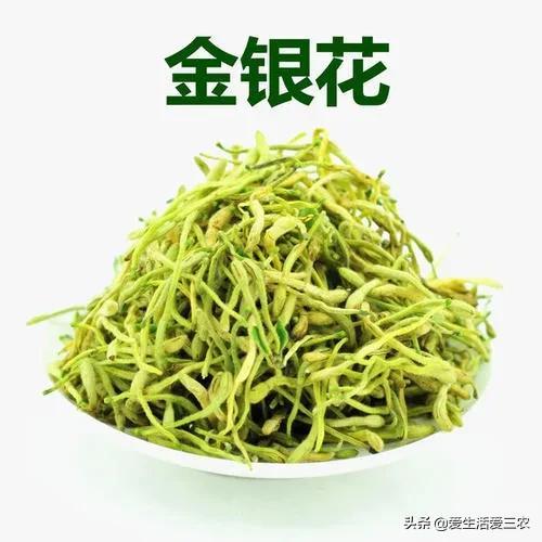 牛膝种植效益_种牛膝赚钱吗_牛膝种植致富