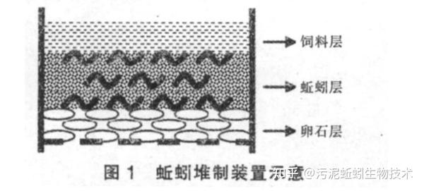 最新蚯蚓养殖技术_养殖蚯蚓的技术_养殖蚯蚓前景如何