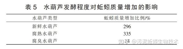 最新蚯蚓养殖技术_养殖蚯蚓前景如何_养殖蚯蚓的技术