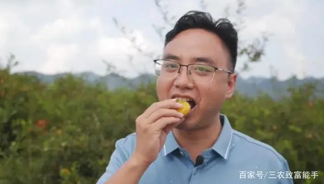 种植黑花生走上致富路_种植黑花生走上致富路_种植黑花生走上致富路