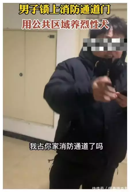 养殖泰迪赚钱吗_致富养殖泰迪图片_养殖泰迪致富