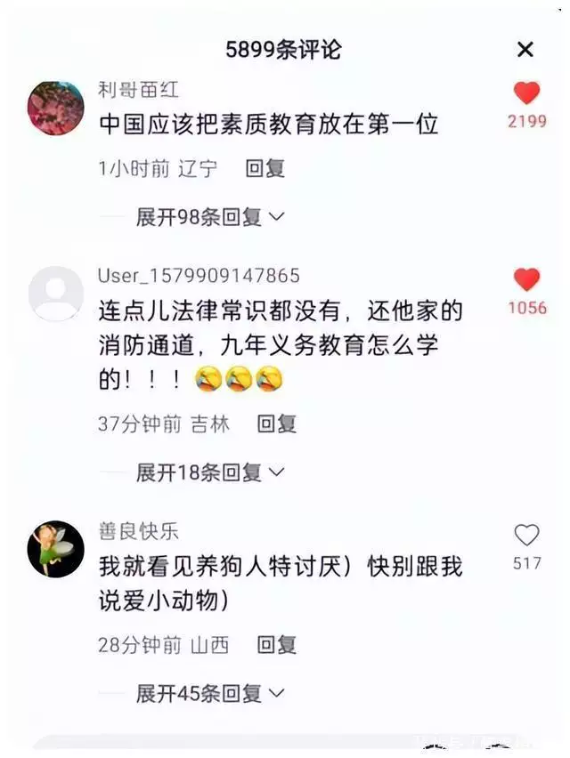 致富养殖泰迪图片_养殖泰迪赚钱吗_养殖泰迪致富