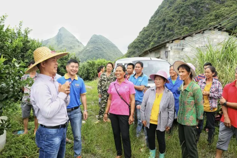 无土栽培什么利润大_致富经无土栽培品种_致富经无土栽培蔬菜