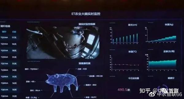 母猪养殖技术视频_母猪养殖技术视频视频_视频养殖母猪技术培训