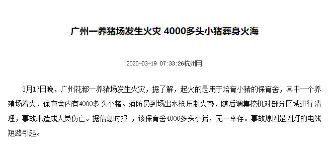 视频养殖母猪技术大全_母猪养殖技术视频_母猪养殖技术视频视频