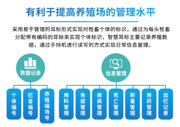 母猪养殖技术视频_视频养殖母猪技术大全_母猪养殖技术视频视频