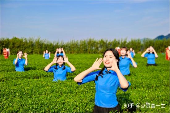 茶香猪 致富经_致富经养香猪_致富经茶叶