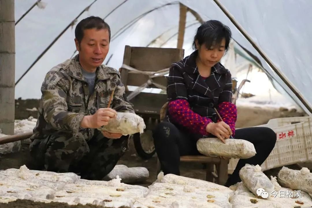 贫困户种植业补助政策_农村贫困户种植致富_帮助贫困户种植农作物