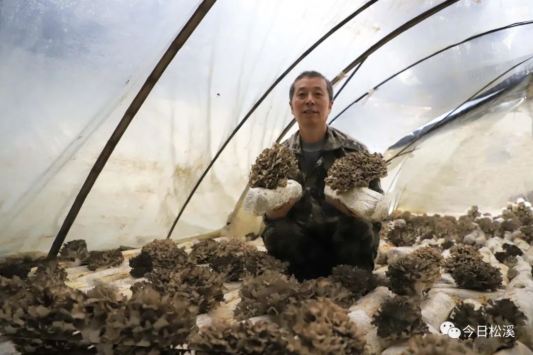 贫困户种植业补助政策_帮助贫困户种植农作物_农村贫困户种植致富