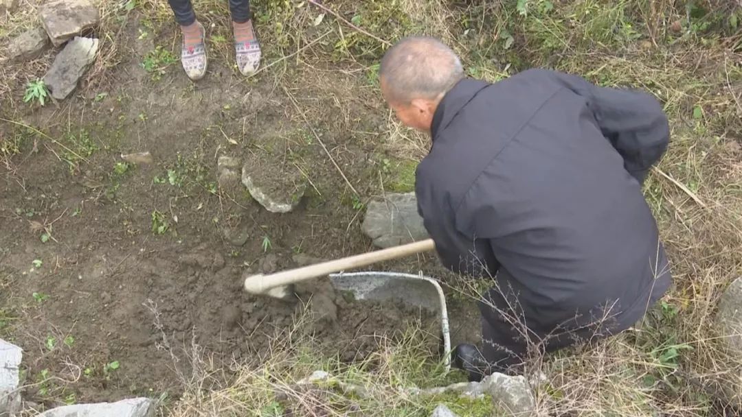 贫困户种地有哪些补贴_贫困户种植脱贫_农村贫困户种植致富