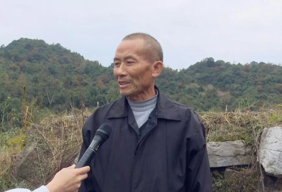 农村贫困户种植致富_贫困户种地有哪些补贴_贫困户种植脱贫