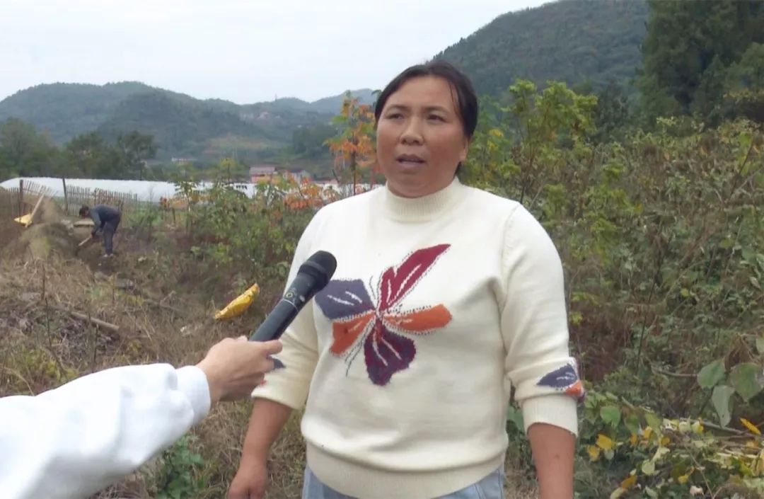 农村贫困户种植致富_贫困户种地有哪些补贴_贫困户种植脱贫