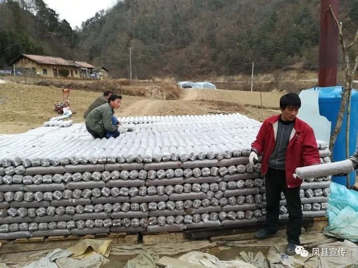 农村贫困户种植致富_农村贫困户种植有什么补贴_贫困户种植业补助政策