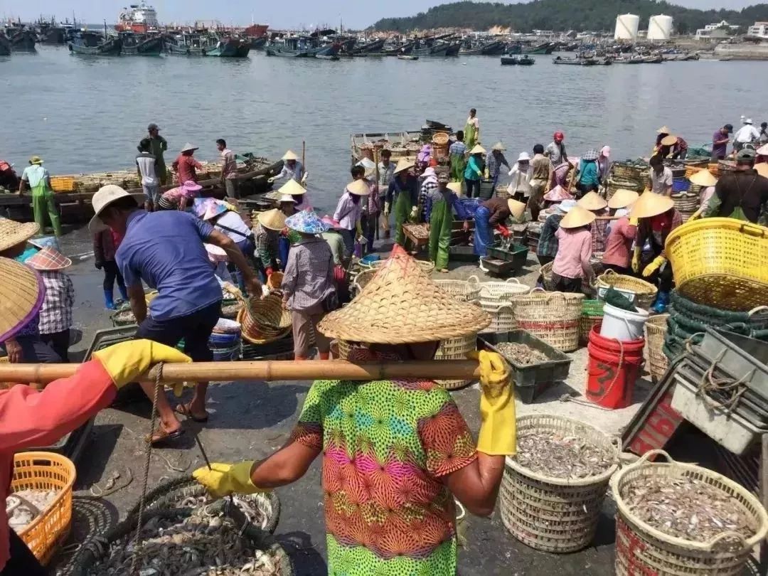 台湾斑节虾养殖技术_斑节虾养殖技术视频_斑节虾养殖视频