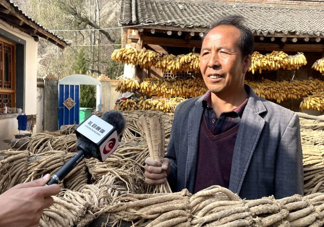 鼓励种植致富的用词_致富种植文字写出来用什么纸_种植致富经用文字写出来