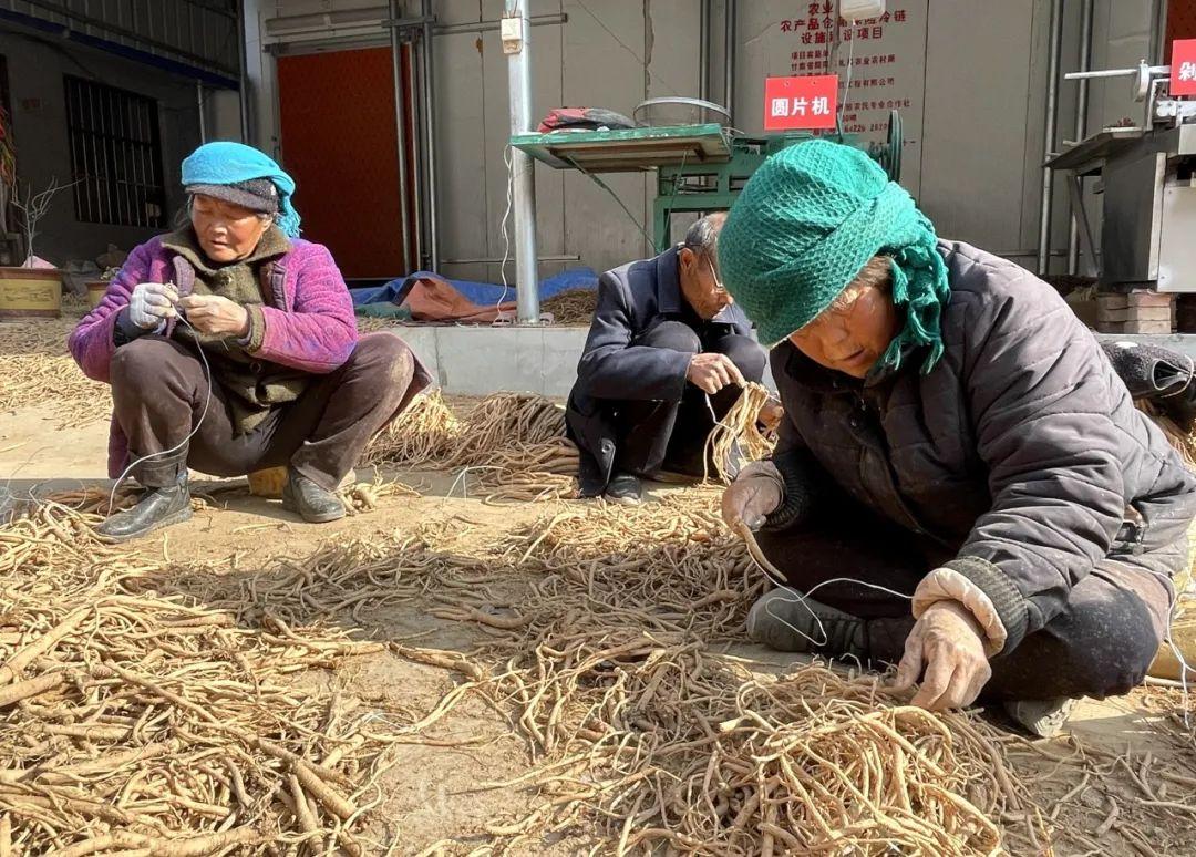 鼓励种植致富的用词_致富种植文字写出来用什么纸_种植致富经用文字写出来