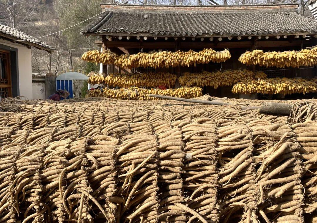 致富种植文字写出来用什么纸_种植致富经用文字写出来_鼓励种植致富的用词