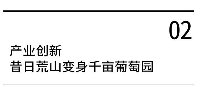 种植葡萄怎么种植_致富种植葡萄方法视频_葡萄种植致富方法