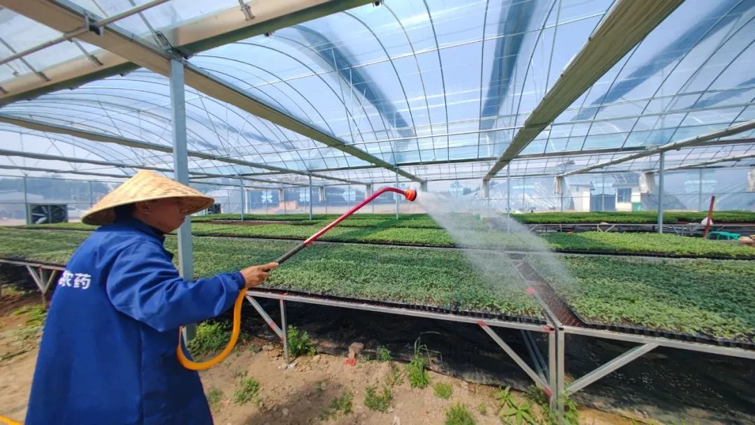 致富园区种植农业的优势_致富园区种植农业项目_农业园区种植致富