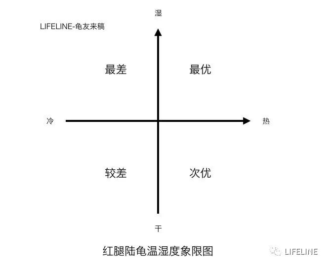 乌龟养殖实用新技术_黑龟怎么养殖技术_龟养殖户