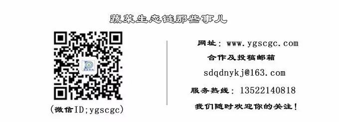 平菇种植新技术_致富经平菇种植视频_致富经平菇种植技术