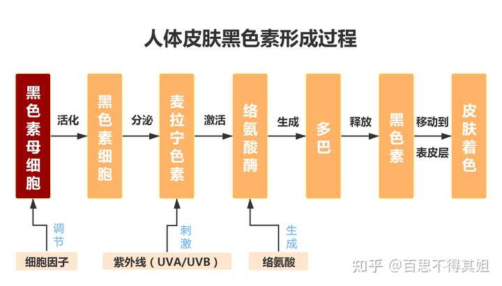 怎么算优质回答_优质回答的经验和方法_优质回答经验方法怎么写