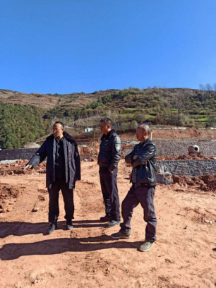 湖北野猪养殖基地_野猪养殖户_致富经湖北野猪养殖项目