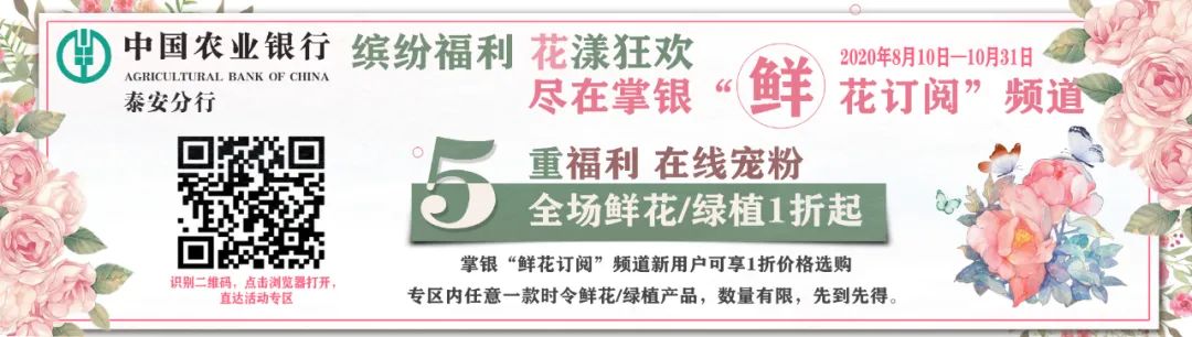 规划的经验启示_优秀规划案例_借鉴优质规划经验分享