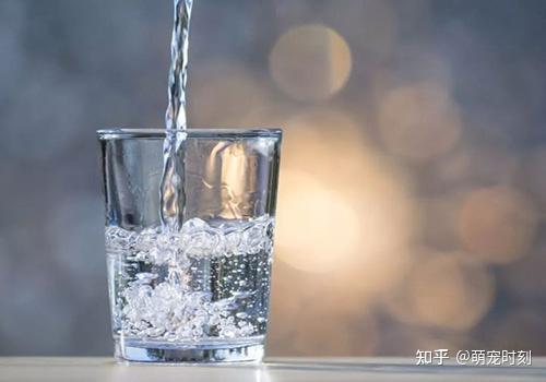 散养杂交兔子养殖视频_杂交兔养殖技术利润_杂交兔养殖技术