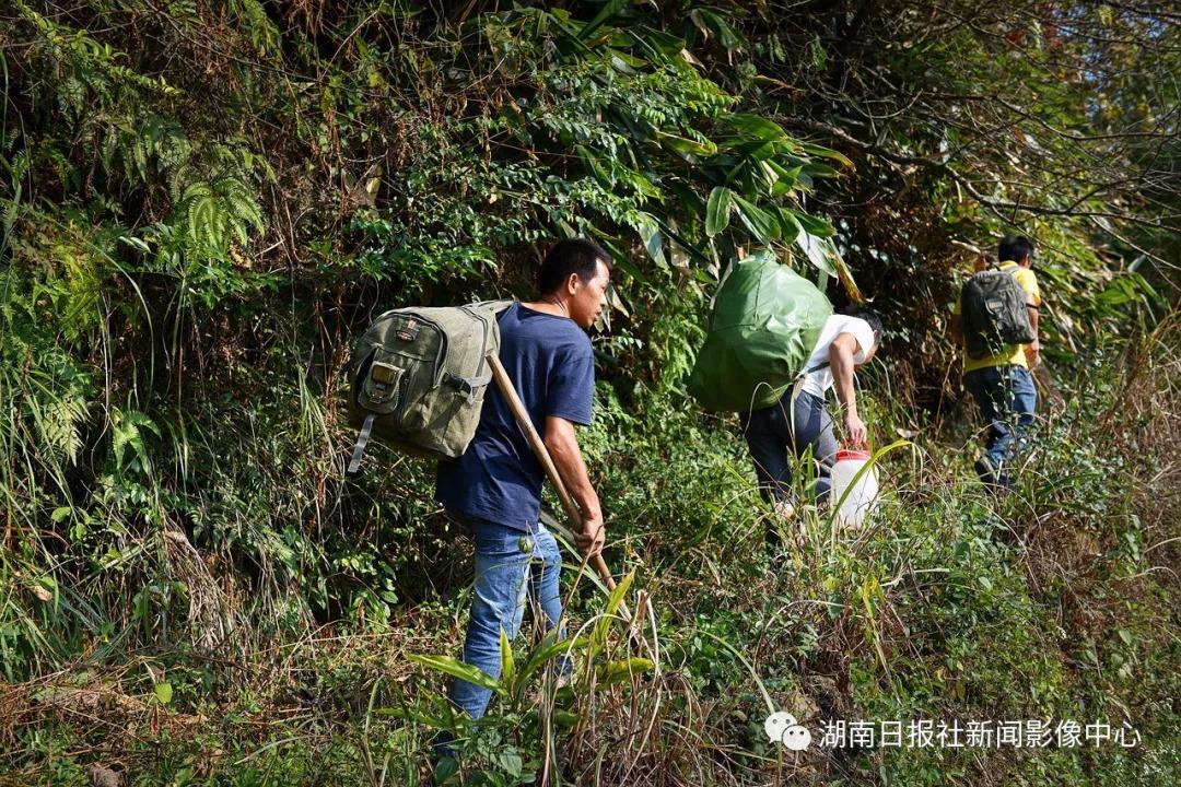 致富经养中蜂视频全集_中央7套致富经养牛_中央七套致富经养马蜂